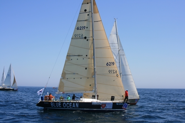 31628848375.jpg