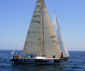 31628848375.jpg